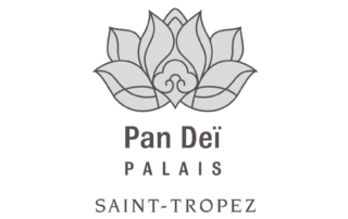installateur de sonorisation