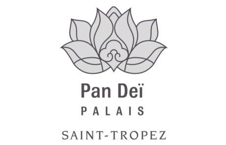 installateur de sonorisation